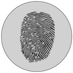 Fingerprint analysis software